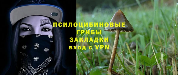 амф Балахна