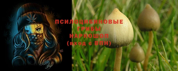 амф Балахна