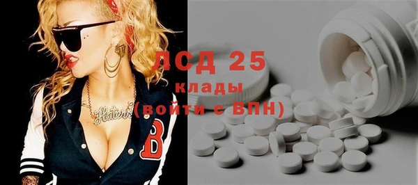 PSILOCYBIN Балабаново
