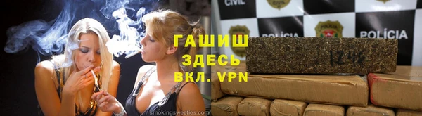 PSILOCYBIN Балабаново