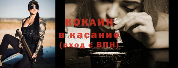 PSILOCYBIN Балабаново
