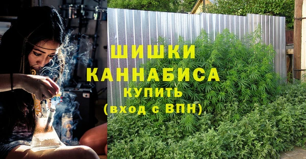 амф Балахна