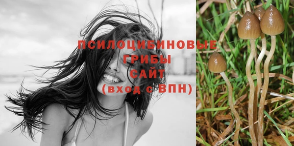 амф Балахна